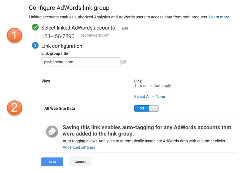 Google Analytics view showing Adwords setup and configuration