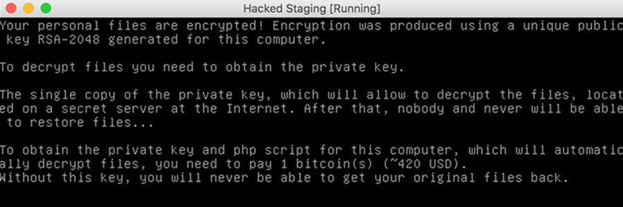 Terminal window showing contents of hacked readme file