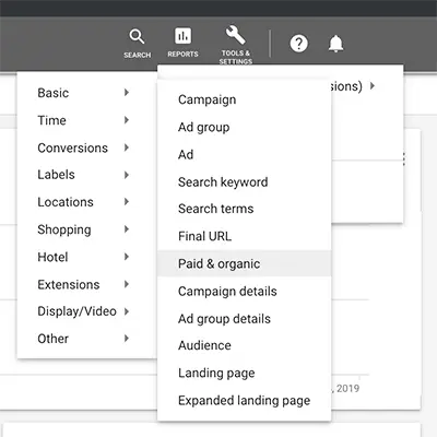 Google Ads menu option showing Paid and Organic reports